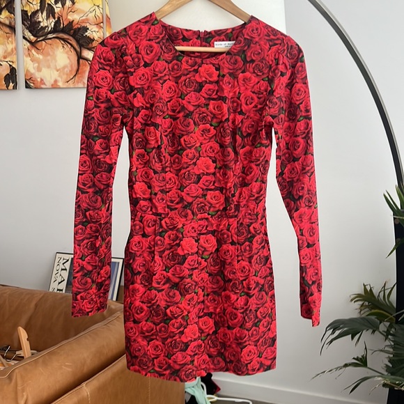 Birds of North America Nothura Roses Print Romper - Picture 4 of 9